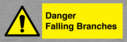 danger-falling-branches~
